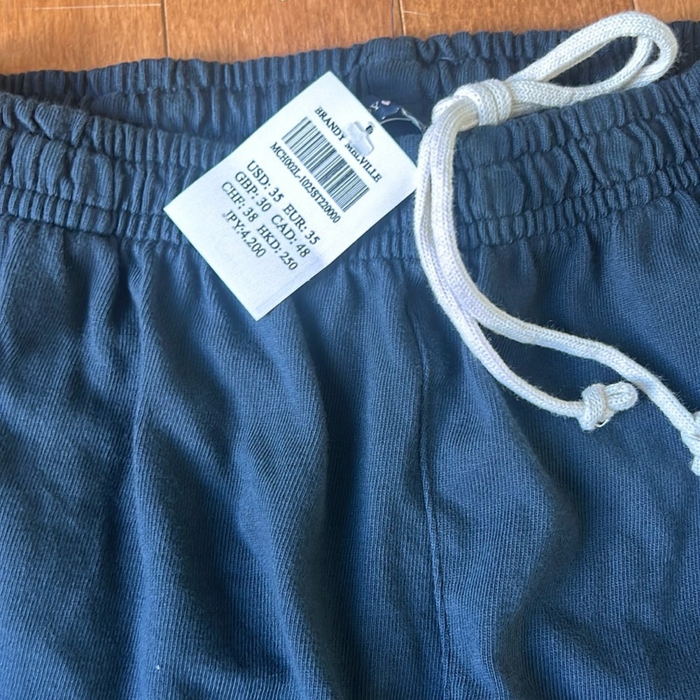 Brandy Melville Wideleg Sweats. Brand new.  Hot trendy item of the year.